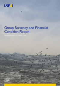 Group_SFCR_Report_2024.pdf