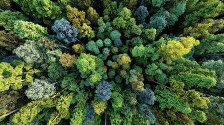 海運業界におけるバイオLNG：パーム油の廃液をCO2フリー燃料へ転換