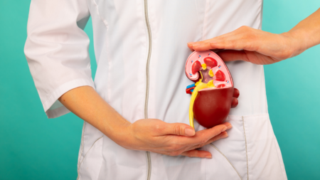 Crew Health Advice: 腎臓