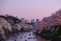 回覧14/23: 2024年度保険契約更新および勘定未閉鎖年度