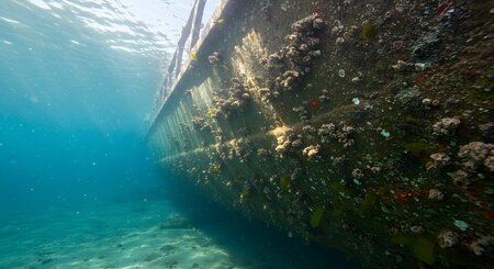 Ship’s Biofouling Compliance: Regional Standards and Global Alignment