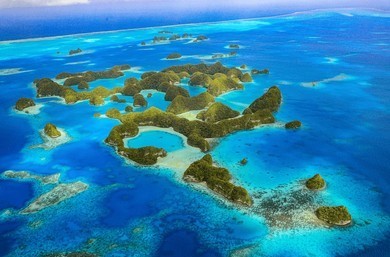 The High Seas Treaty: A Comprehensive Framework for Global Marine Conservation